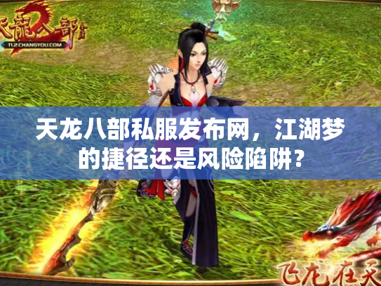天龙八部私服发布网，江湖梦的捷径还是风险陷阱？