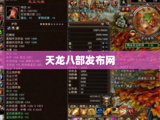 天龙八部发布网