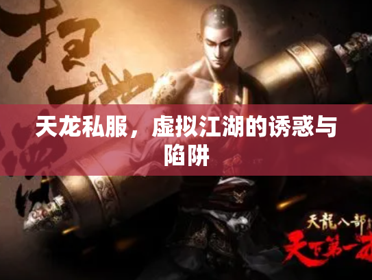 天龙私服，虚拟江湖的诱惑与陷阱