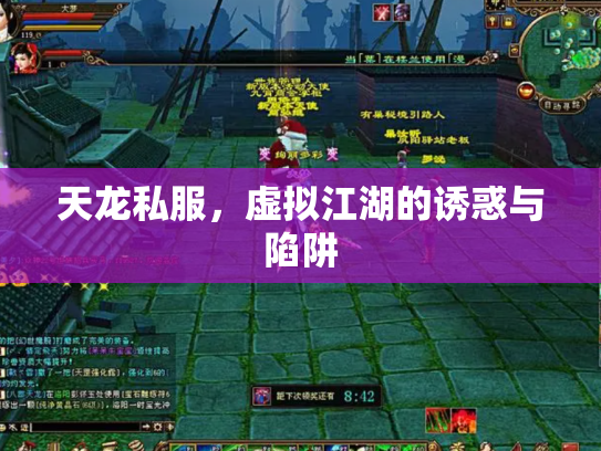 天龙私服，虚拟江湖的诱惑与陷阱