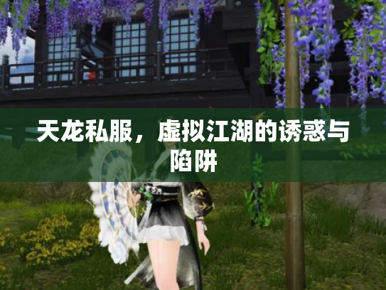 天龙私服，虚拟江湖的诱惑与陷阱