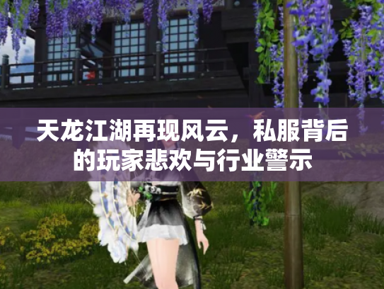 天龙江湖再现风云，私服背后的玩家悲欢与行业警示