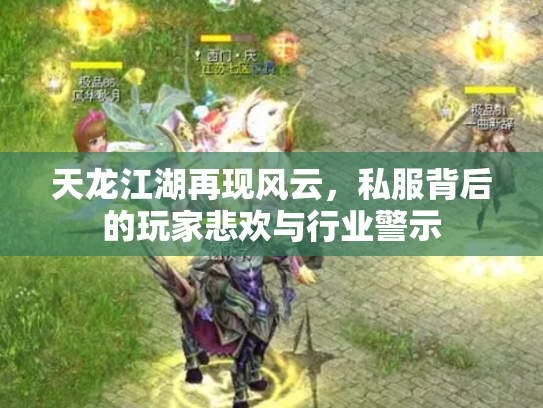 天龙江湖再现风云，私服背后的玩家悲欢与行业警示