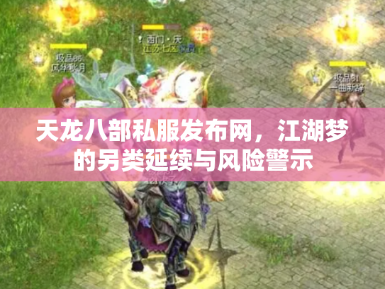 天龙八部私服发布网，江湖梦的另类延续与风险警示