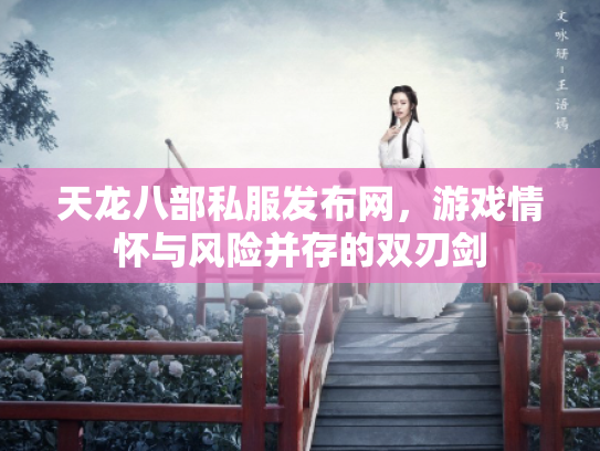 天龙八部私服发布网，游戏情怀与风险并存的双刃剑