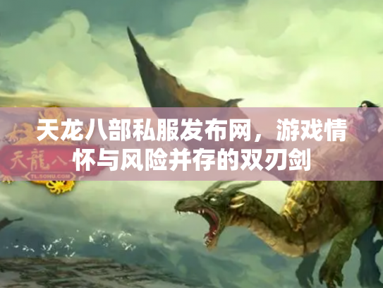天龙八部私服发布网，游戏情怀与风险并存的双刃剑