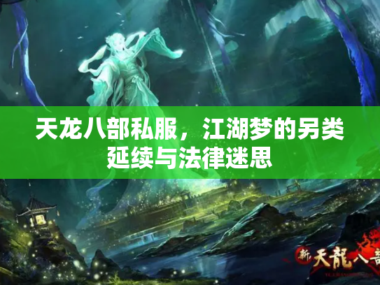 天龙八部私服，江湖梦的另类延续与法律迷思