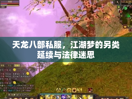 天龙八部私服，江湖梦的另类延续与法律迷思
