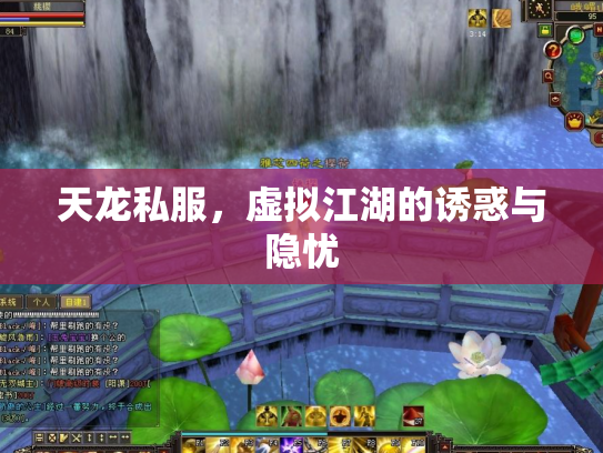 天龙私服，虚拟江湖的诱惑与隐忧