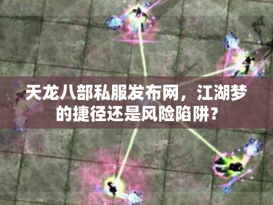 天龙八部私服发布网，江湖梦的捷径还是风险陷阱？