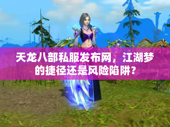 天龙八部私服发布网，江湖梦的捷径还是风险陷阱？