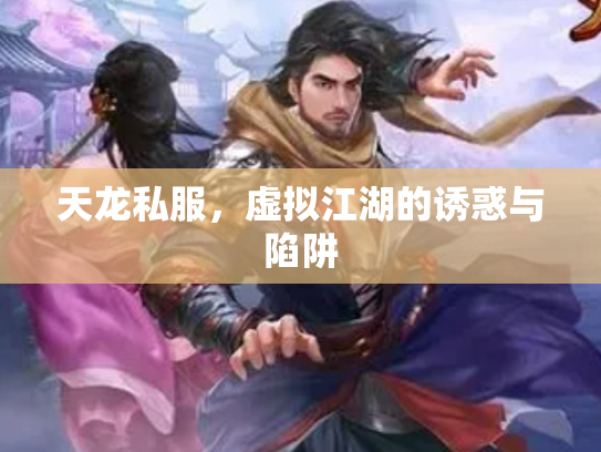 天龙私服，虚拟江湖的诱惑与陷阱