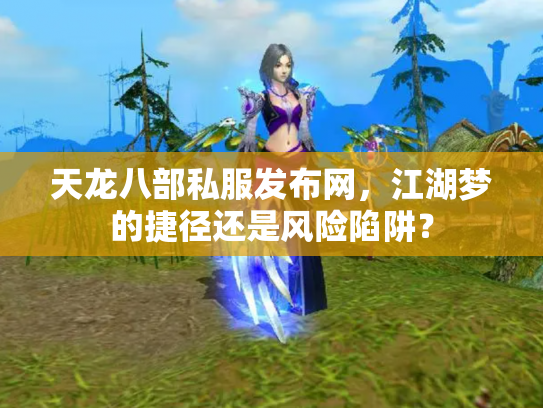 天龙八部私服发布网，江湖梦的捷径还是风险陷阱？