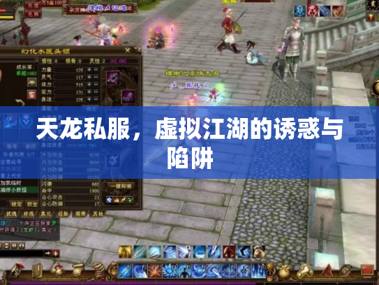 天龙私服，虚拟江湖的诱惑与陷阱