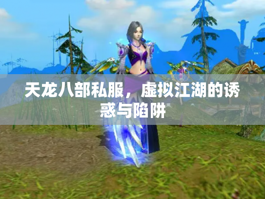 天龙八部私服，虚拟江湖的诱惑与陷阱