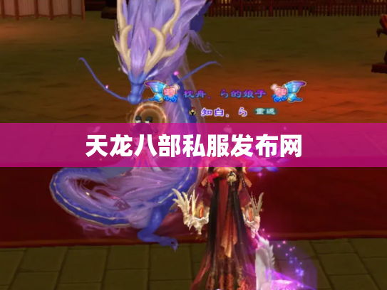 天龙八部私服发布网