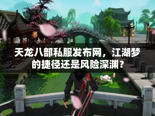 天龙八部私服发布网，江湖梦的捷径还是风险深渊？