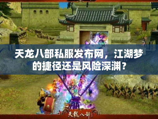 天龙八部私服发布网，江湖梦的捷径还是风险深渊？