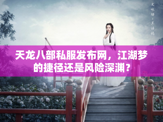 天龙八部私服发布网，江湖梦的捷径还是风险深渊？