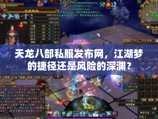 天龙八部私服发布网，江湖梦的捷径还是风险的深渊？