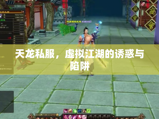 天龙私服，虚拟江湖的诱惑与陷阱