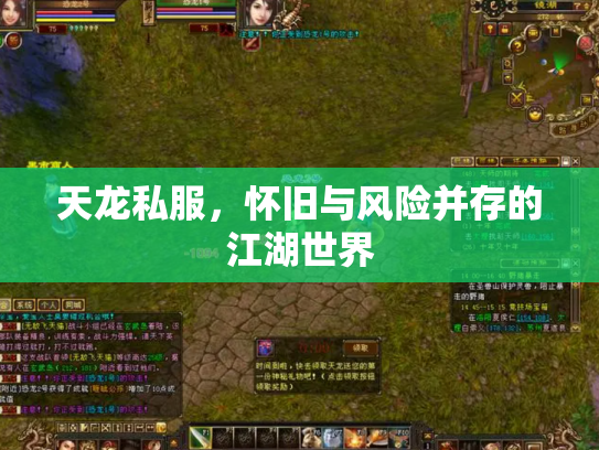 天龙私服，怀旧与风险并存的江湖世界