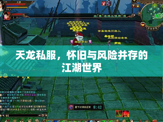 天龙私服，怀旧与风险并存的江湖世界