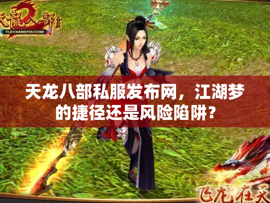 天龙八部私服发布网，江湖梦的捷径还是风险陷阱？