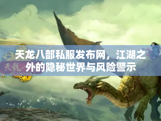天龙八部私服发布网，江湖之外的隐秘世界与风险警示