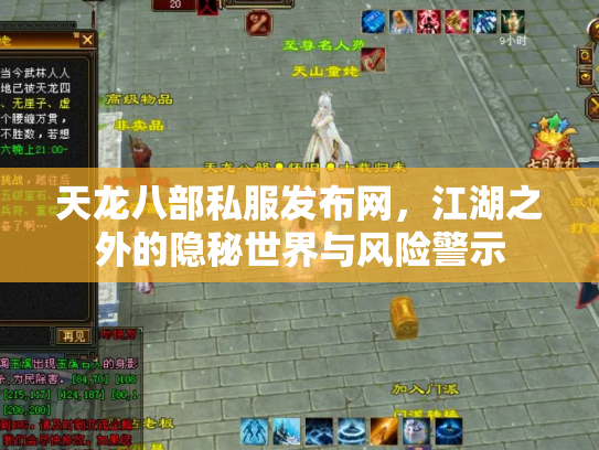 天龙八部私服发布网，江湖之外的隐秘世界与风险警示