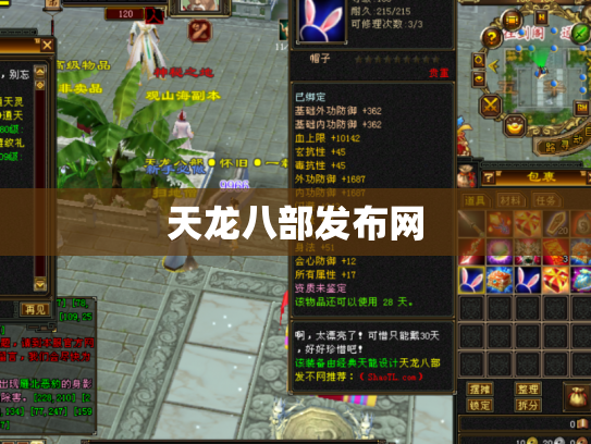 天龙八部发布网