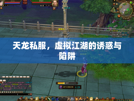 天龙私服，虚拟江湖的诱惑与陷阱