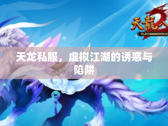 天龙私服，虚拟江湖的诱惑与陷阱