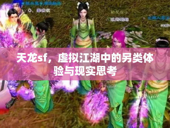 天龙sf，虚拟江湖中的另类体验与现实思考