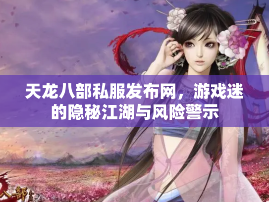 天龙八部私服发布网，游戏迷的隐秘江湖与风险警示