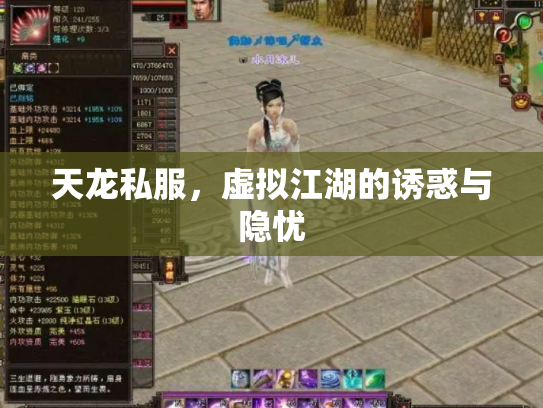 天龙私服，虚拟江湖的诱惑与隐忧