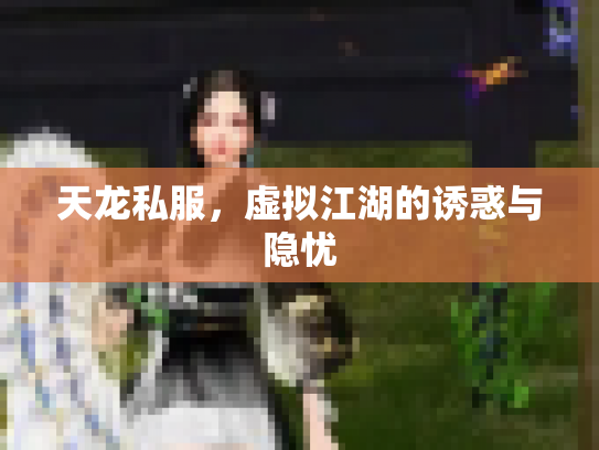 天龙私服，虚拟江湖的诱惑与隐忧