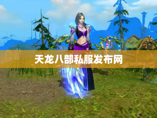 天龙八部私服发布网