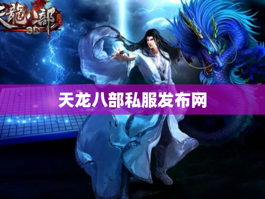 天龙八部私服发布网