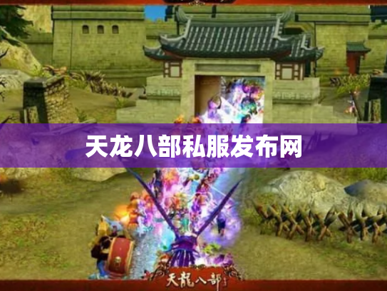 天龙八部私服发布网