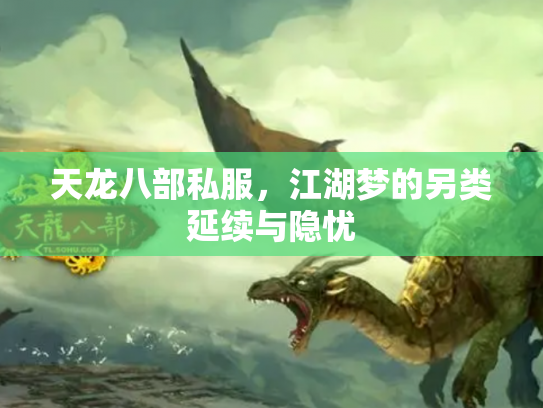 天龙八部私服，江湖梦的另类延续与隐忧
