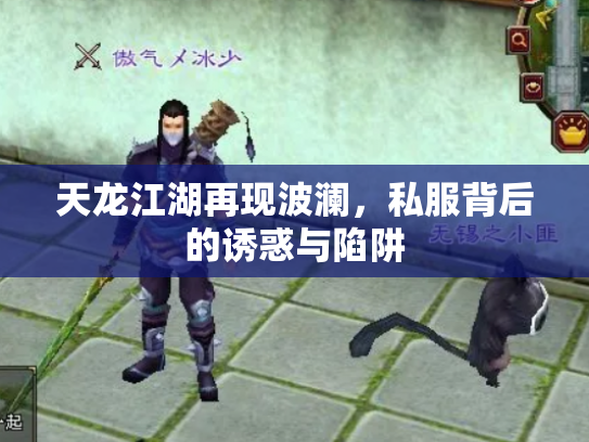 天龙江湖再现波澜，私服背后的诱惑与陷阱