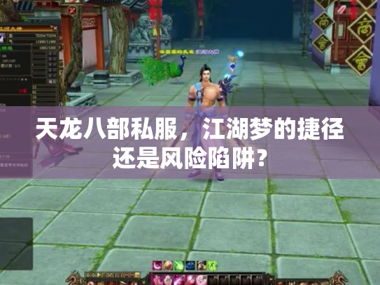 天龙八部私服，江湖梦的捷径还是风险陷阱？