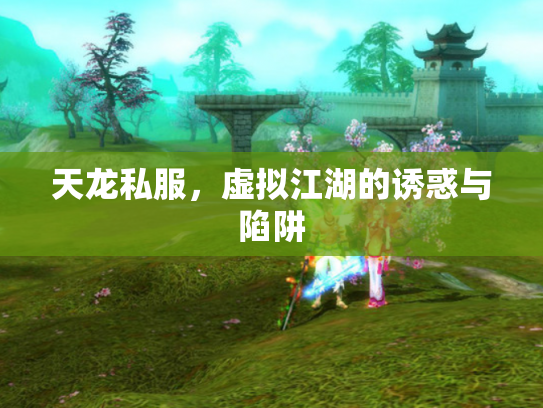 天龙私服，虚拟江湖的诱惑与陷阱