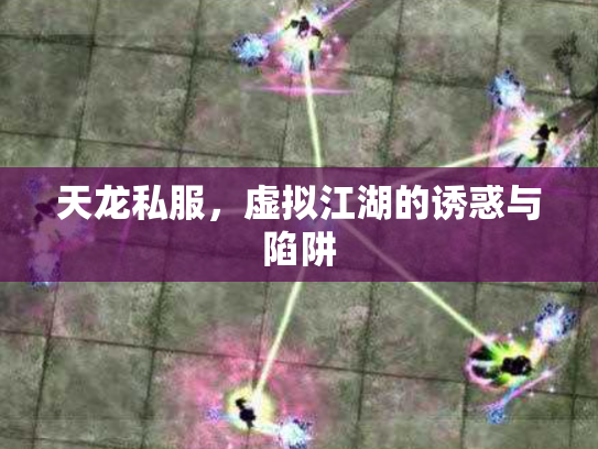 天龙私服，虚拟江湖的诱惑与陷阱