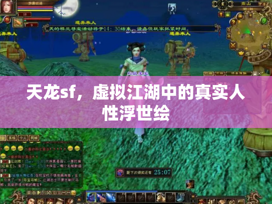 天龙sf，虚拟江湖中的真实人性浮世绘
