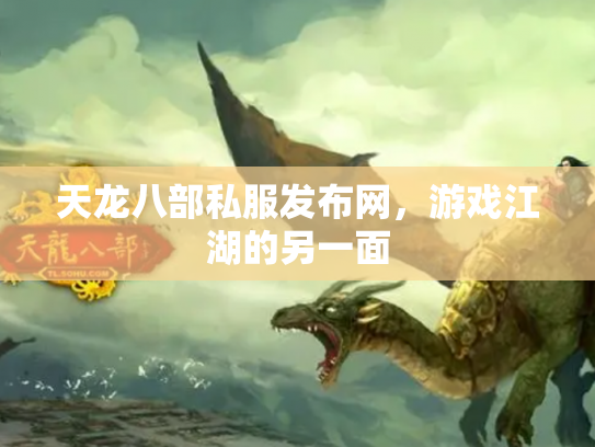 天龙八部私服发布网，游戏江湖的另一面