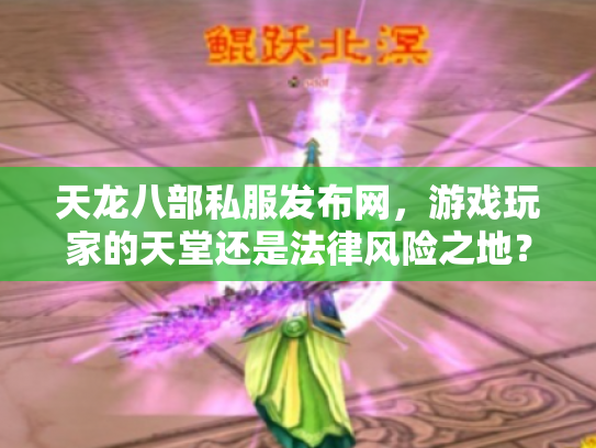 天龙八部私服发布网，游戏玩家的天堂还是法律风险之地？