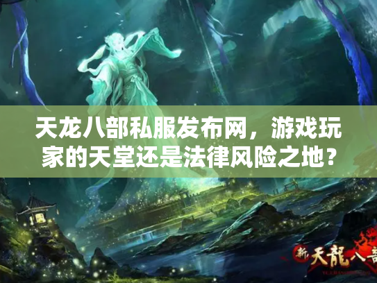 天龙八部私服发布网，游戏玩家的天堂还是法律风险之地？