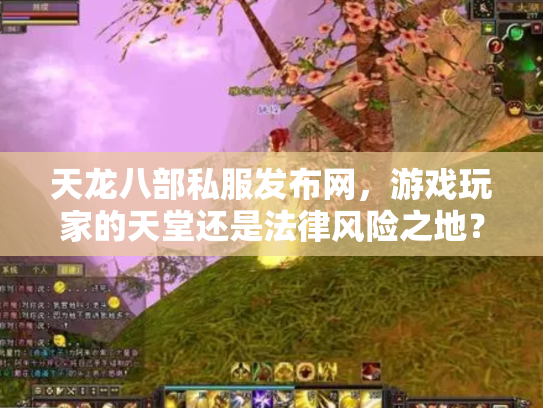 天龙八部私服发布网，游戏玩家的天堂还是法律风险之地？